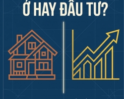 MUA ĐẤT ĐỒNG NAI ĐỂ Ở HAY ĐẦU TƯ: NÊN CHỌN THEO TIÊU CHÍ NÀO?